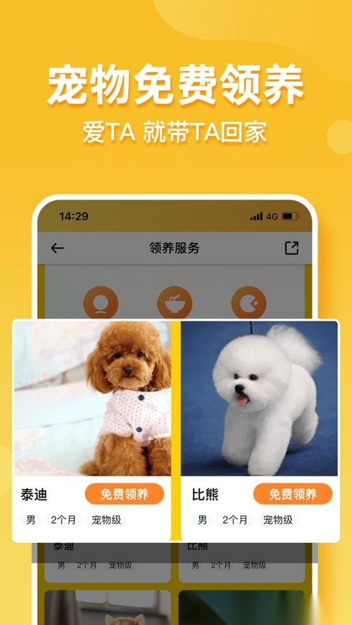 撸宠最新免费版图4