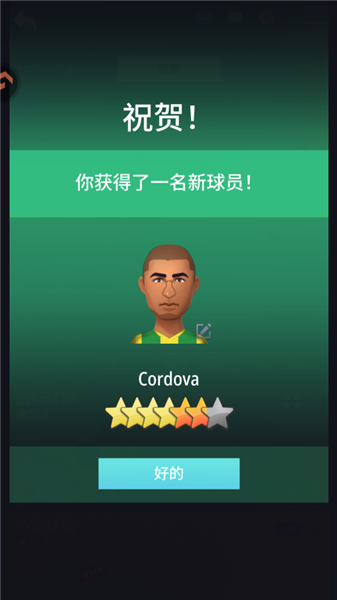 梦幻冠军足球游戏官方版图2