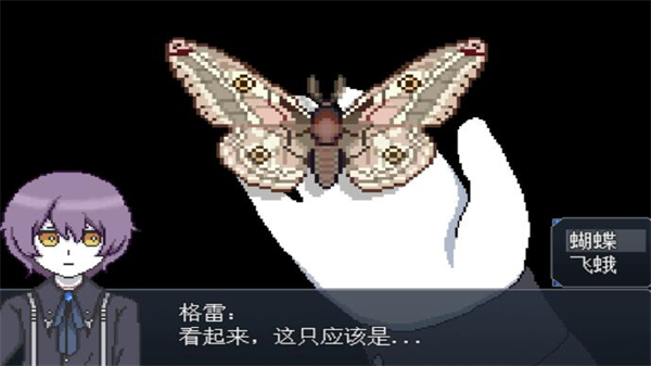 白夜博物馆游戏正版图2