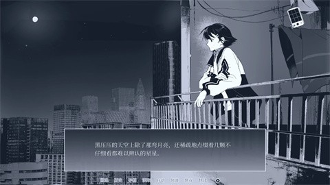 纤维直装版图1