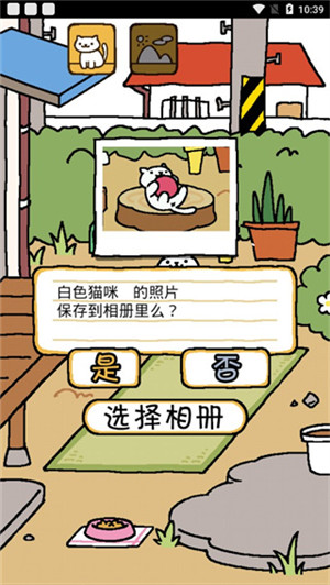 猫咪后院官方版图4