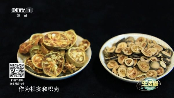 春盈TV免费原版图1