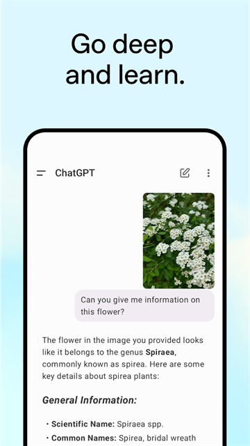 ChatGPT软件最新版图1