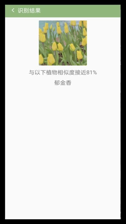 拍图识花软件(1)
