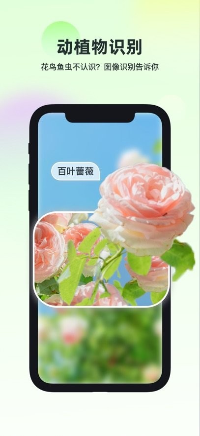智能识万物软件(1)