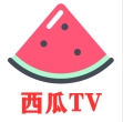 西瓜TV版