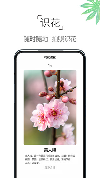 养花大全软件无广告版图1