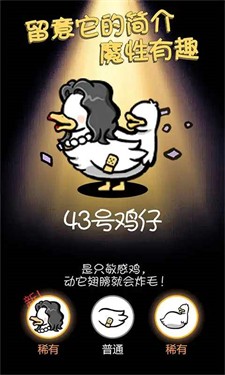 小鸡真奇怪游戏官方最新版图3