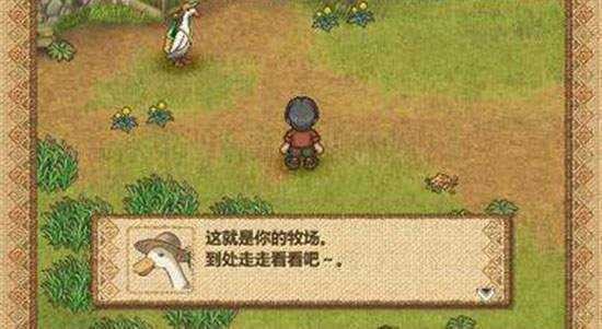 欢迎来到绵羊村安卓官方版图1