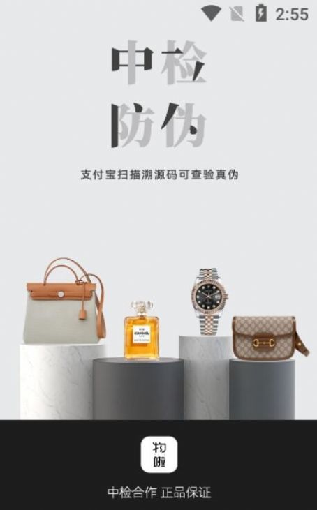 物啦正版图1