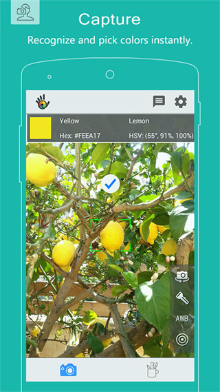 colorgrab手机正版图4