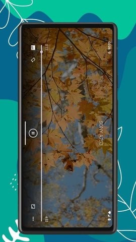 RS播放器官方正版图4