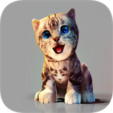 真实小猫3d模拟原版V1.0