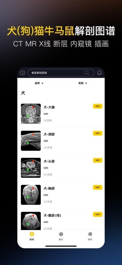 兽医解剖图谱最新版(2)