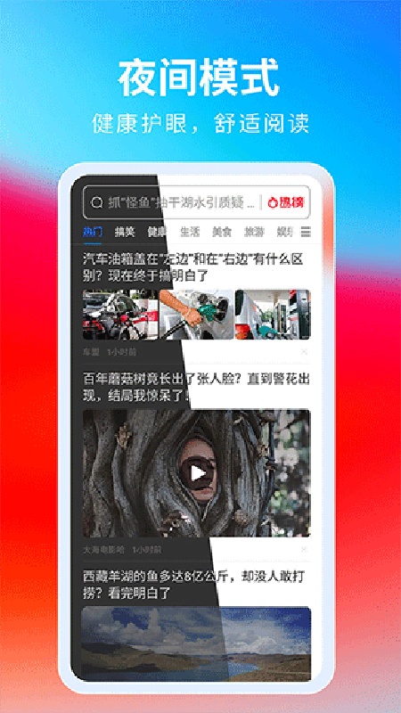 飞觅浏览器care版(1)