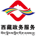 西藏政务服务平台安卓直装版 