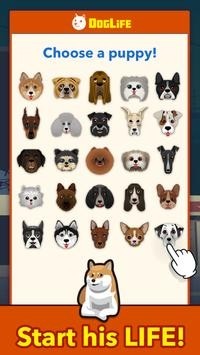 DogLife官方最新版图3