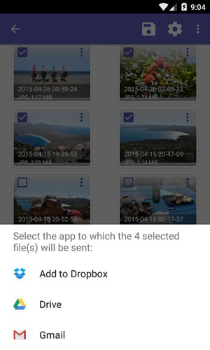 diskdigger安卓免费版图2