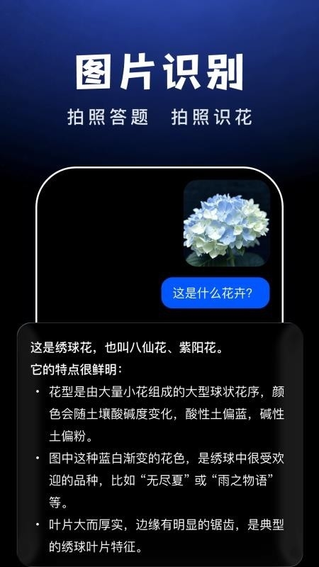 AI Agent正版图1