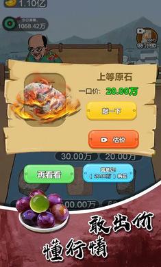 鉴宝高手通用版