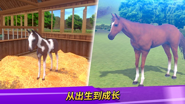 德比生活游戏完整版