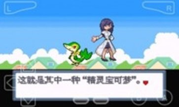 口袋妖怪白金光修复版图3
