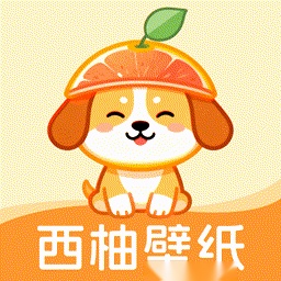 西柚壁纸手机版
