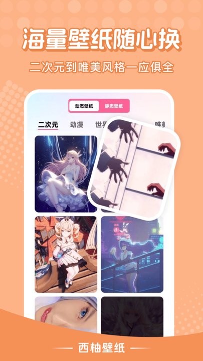 西柚壁纸手机版(4)