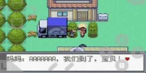 口袋妖怪绿宝石随机版图2