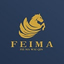 飞马外勤本官方正版