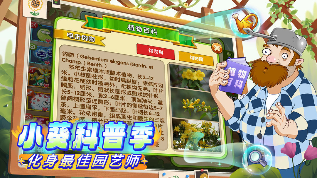 植物大战僵尸2高清版(4)