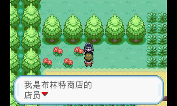口袋妖怪火红手游直装版图2