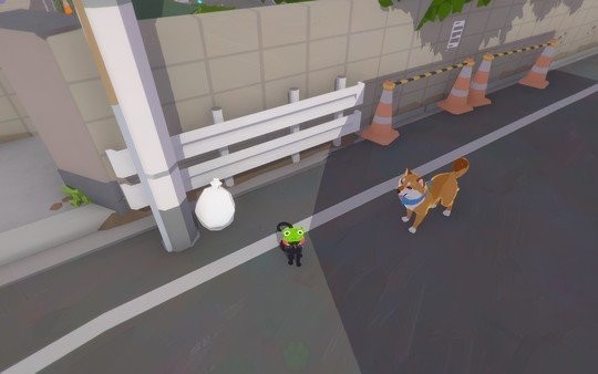 小猫咪大城市最新版(3)