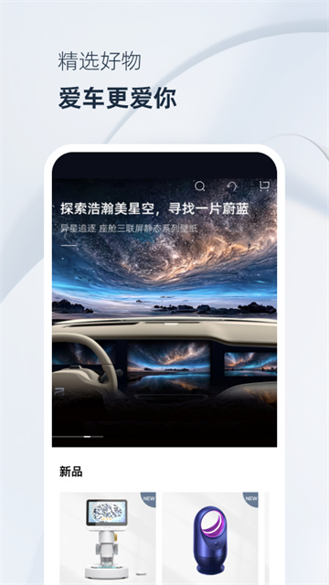 飞凡汽车(4)