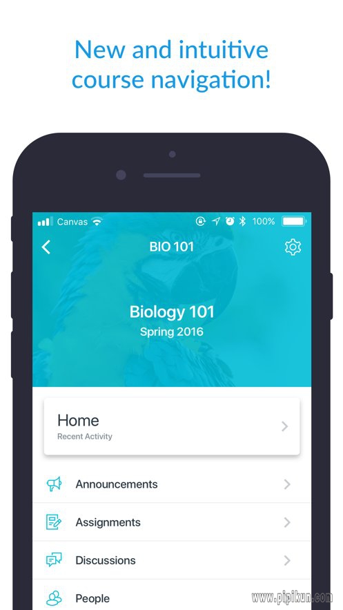 Canvas Student app