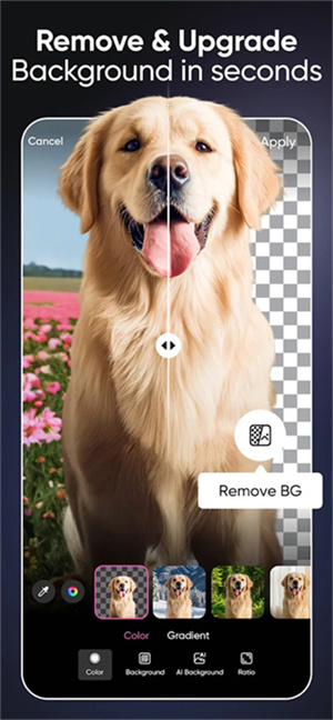 Picsart美易最新版图1