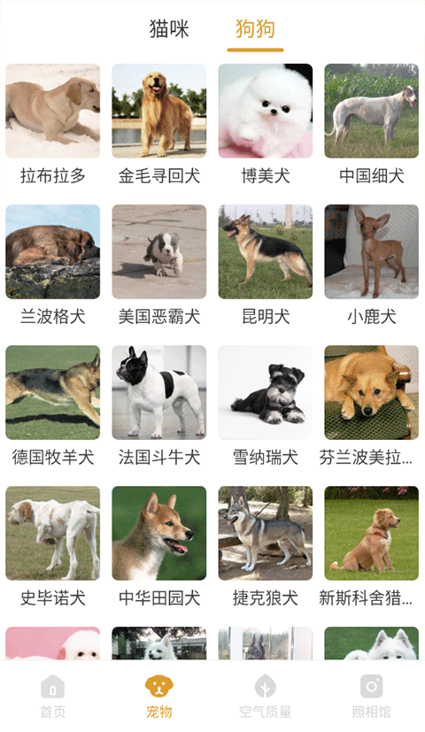 韶光相机(3)