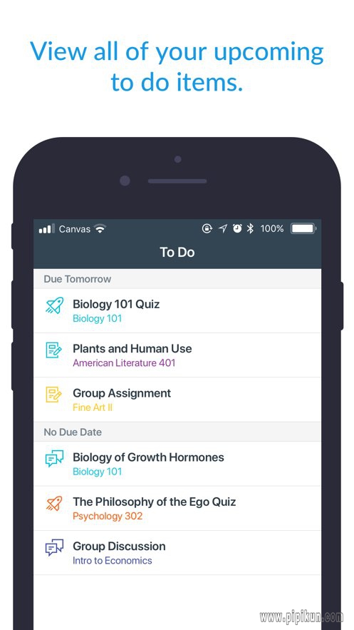 Canvas Student app