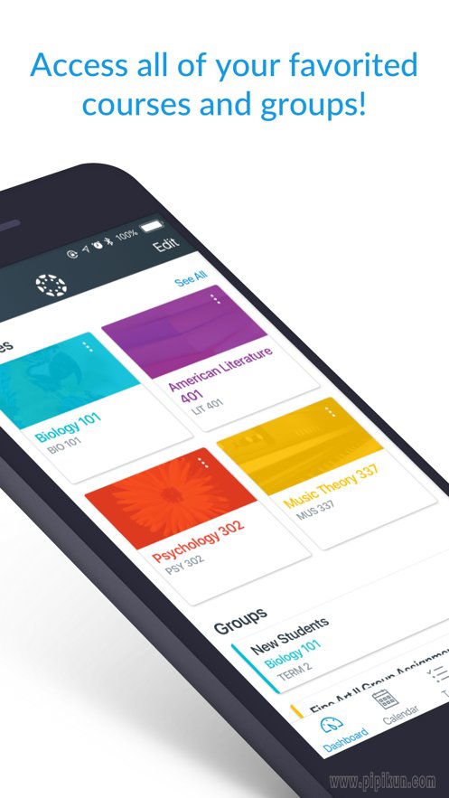 Canvas Student app