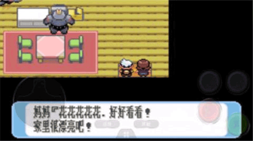 口袋妖怪红宝石(3)