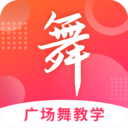 广场舞大全游戏无广告版