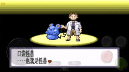 口袋妖怪红宝石(2)