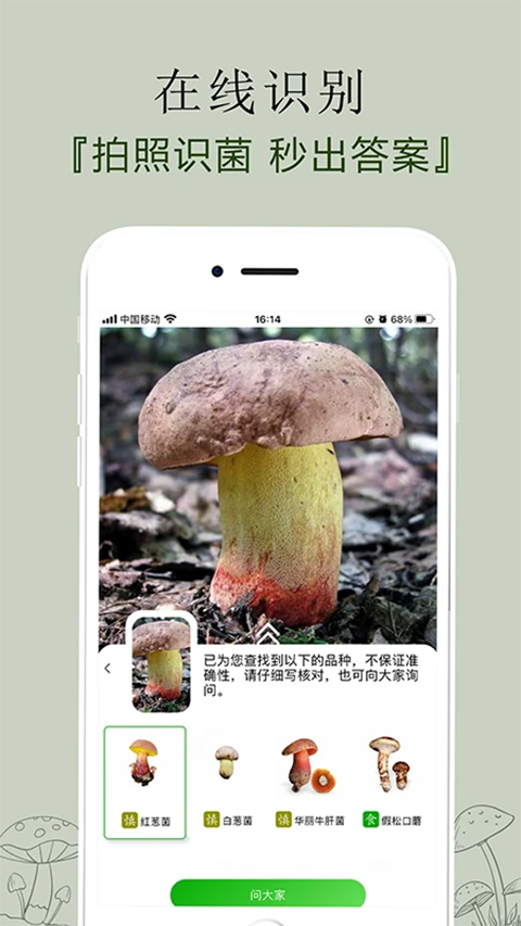 菌窝子官方版图3