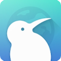 Kiwi浏览器直装版