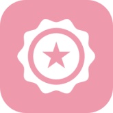 star徽章助手原版
