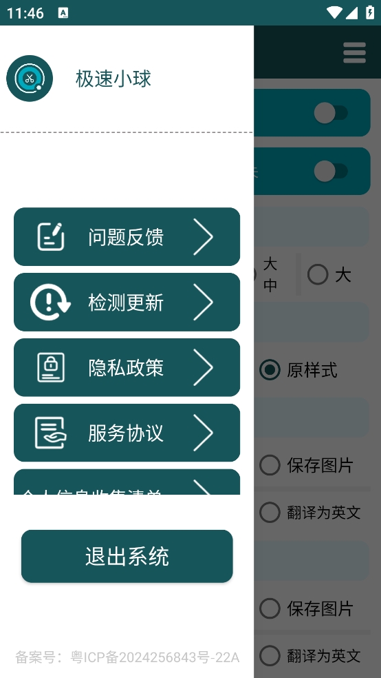 极速小球免费版图2