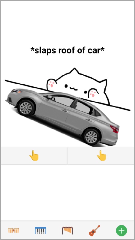 邦戈猫(1)