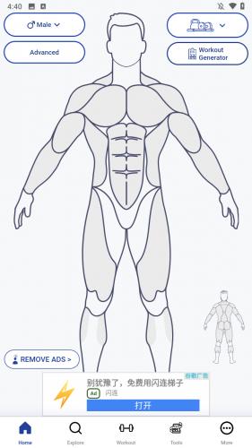 musclewiki无广告版图1