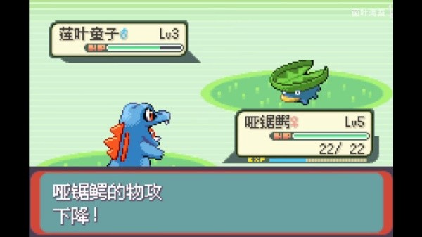 随机宝可梦随机版(2)