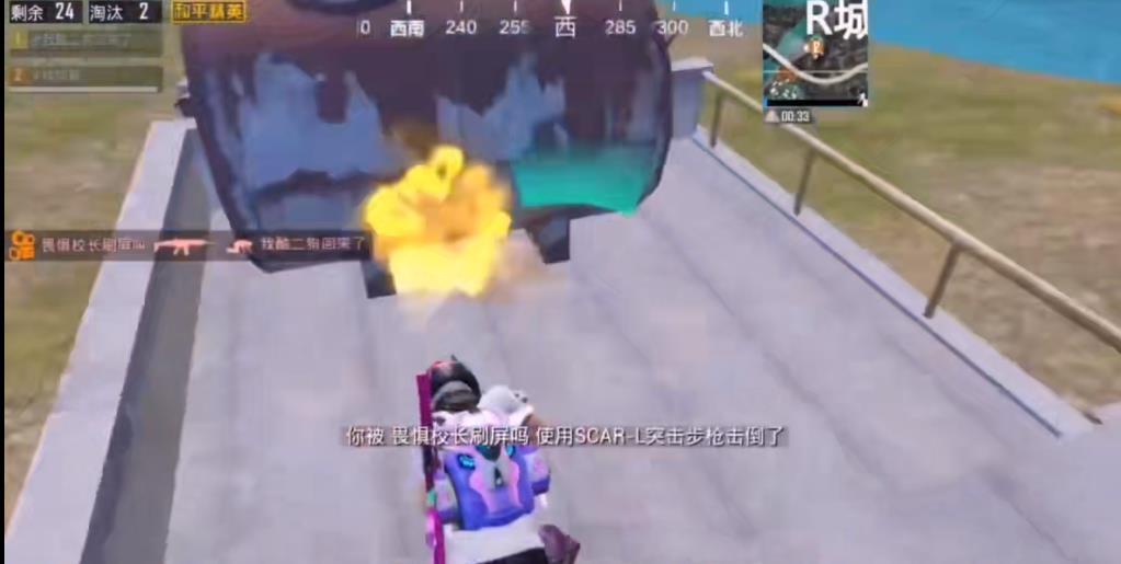 和平精英美化包不封号通用版图1